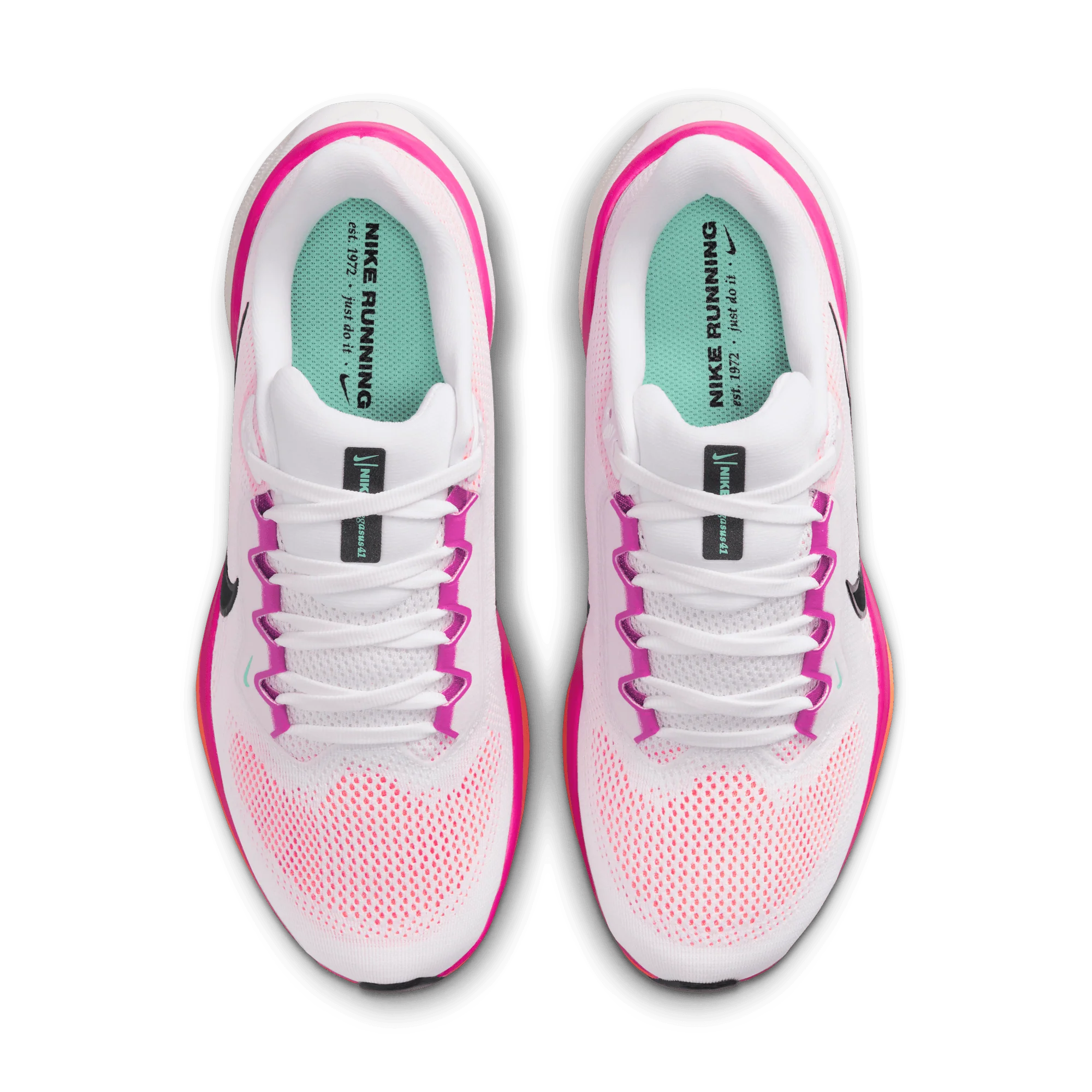 Nike Pegasus 41 · Mujer