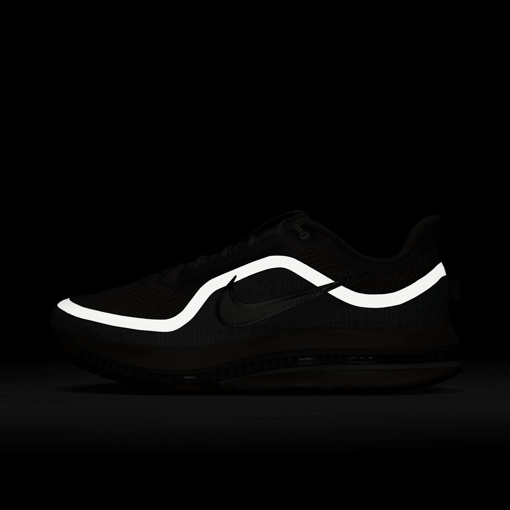 Nike Pegasus Premium · Hombre