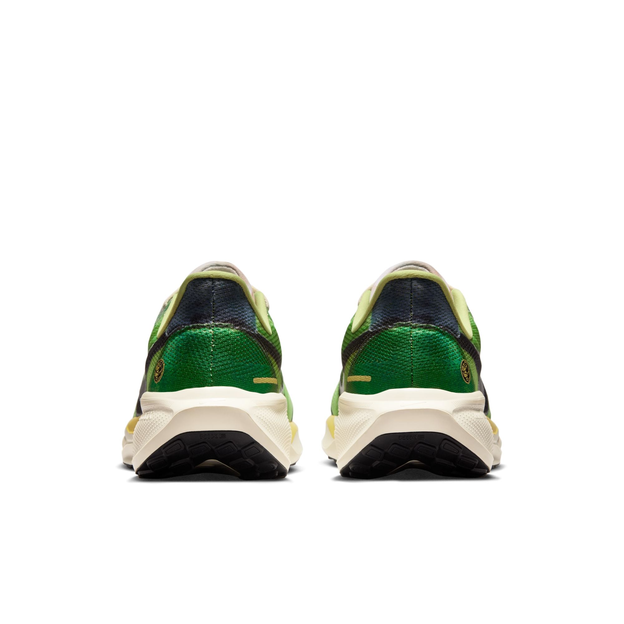 Nike Pegasus 41 SE · Hombre