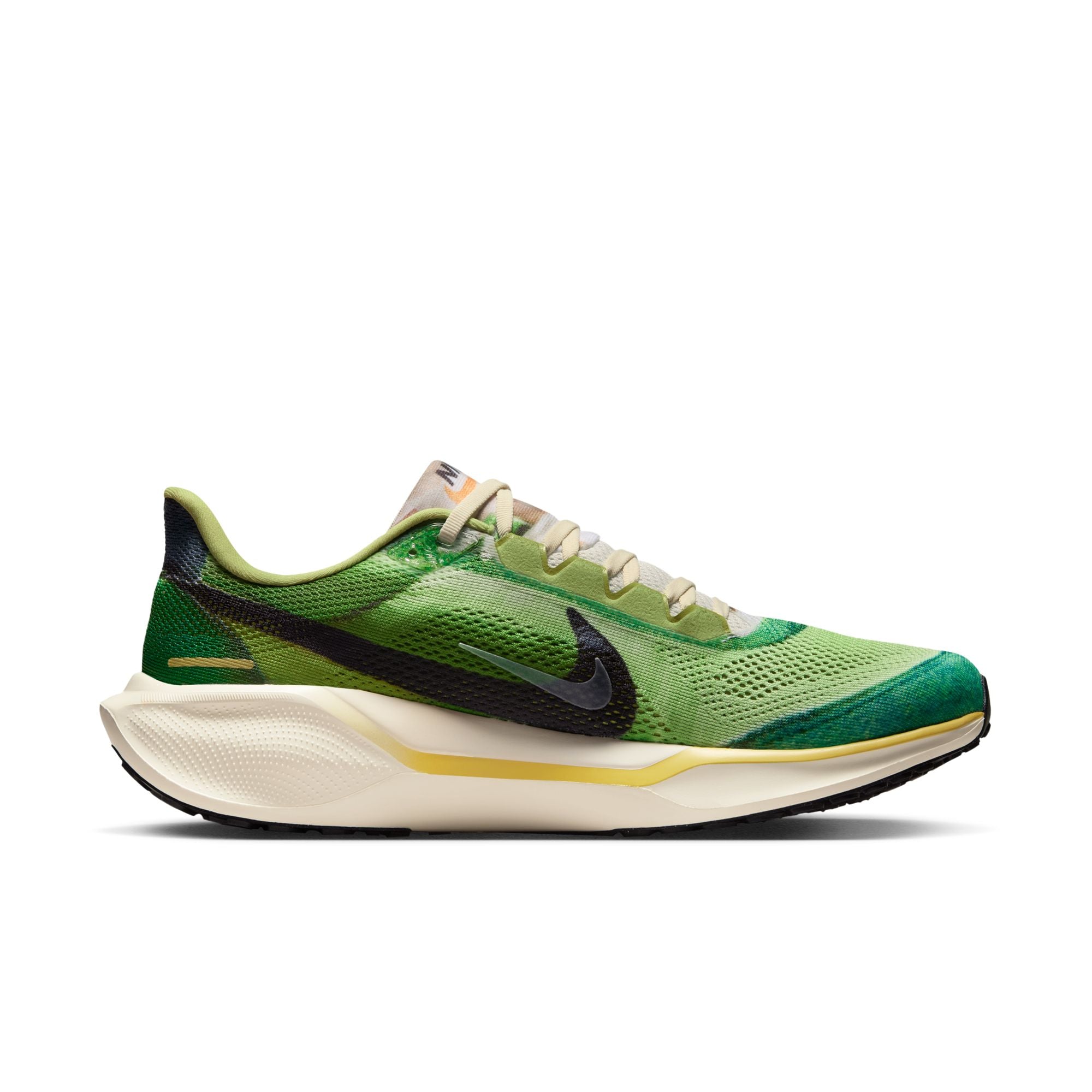 Nike Pegasus 41 SE · Hombre