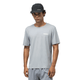 Dapple Gray