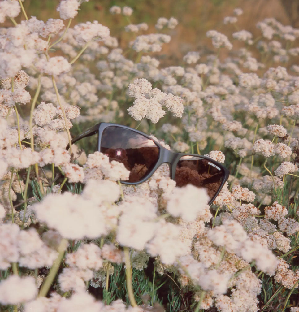 Keiichi Standard Gray, D+ Black Rose