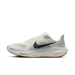 Nike Pegasus 41 · Hombre