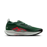 Pegasus Trail 5 GORE-TEX · Hombre