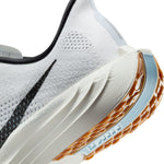 Nike Pegasus Plus · Hombre