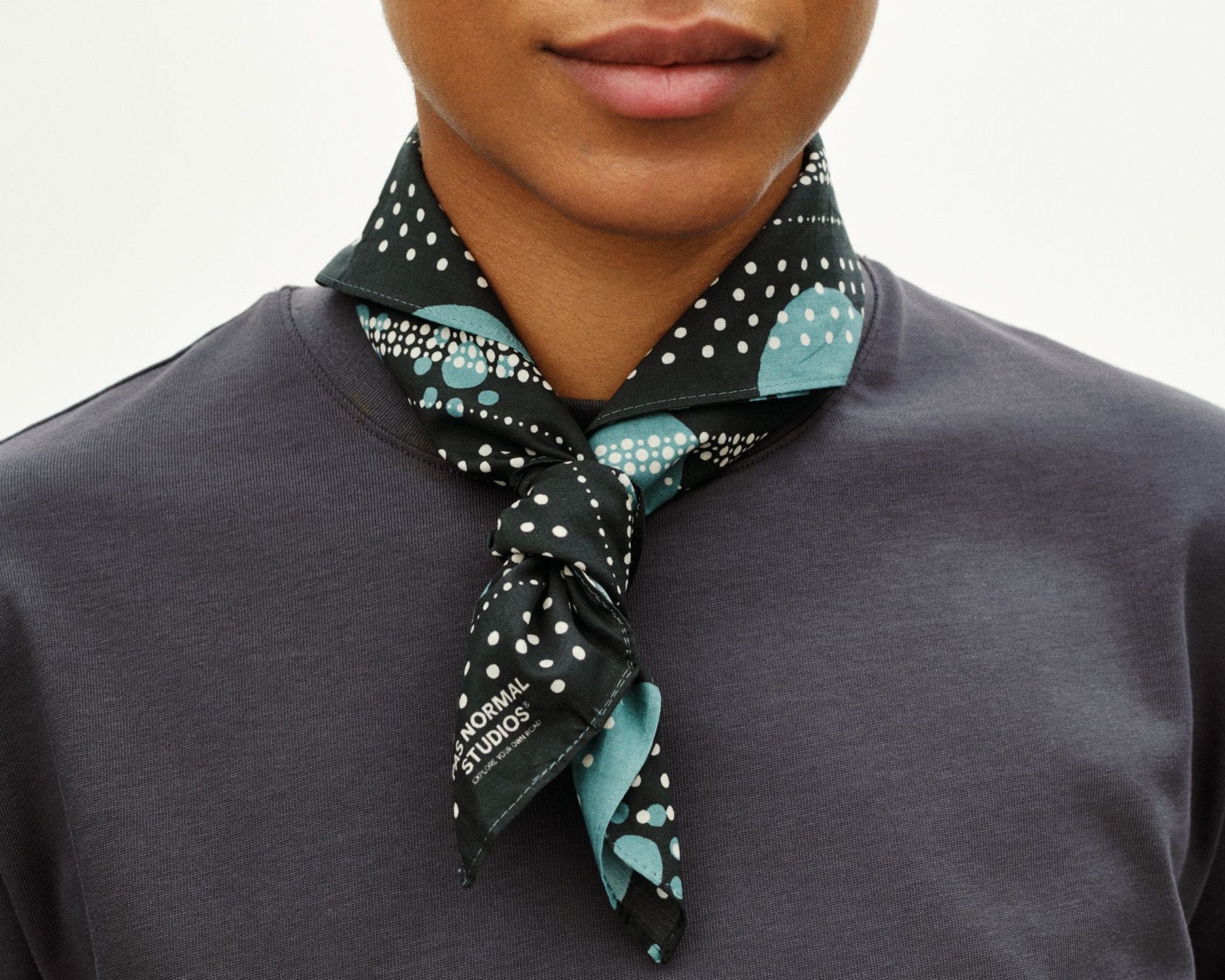 PAS NORMAL STUDIOS Off-Race Bandana Navy