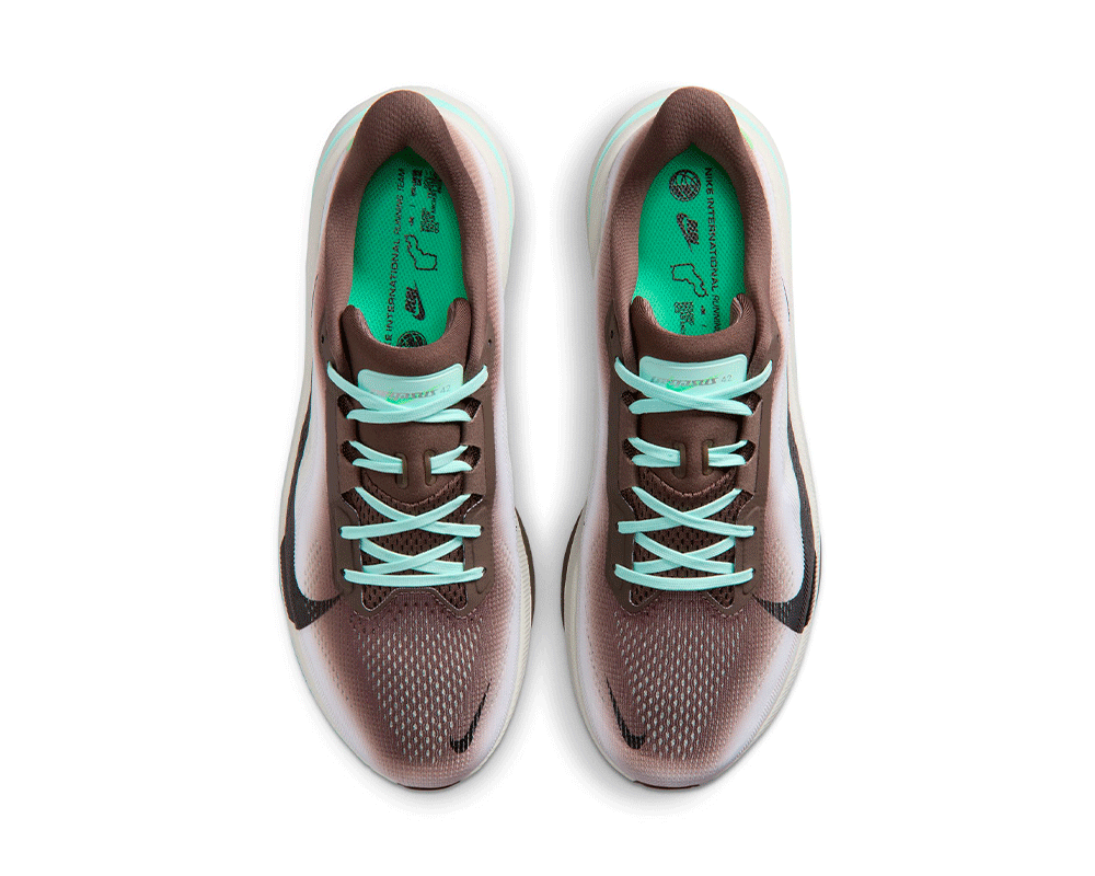 Tenis de pavimento Nike Pegasus 42 Hombre