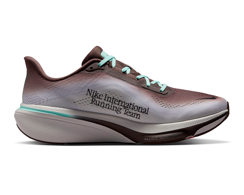 Tenis de pavimento Nike Pegasus 42 Hombre