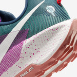 Nike Pegasus Trail 5 · Hombre