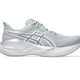 Piedmont Grey/Pure Silver