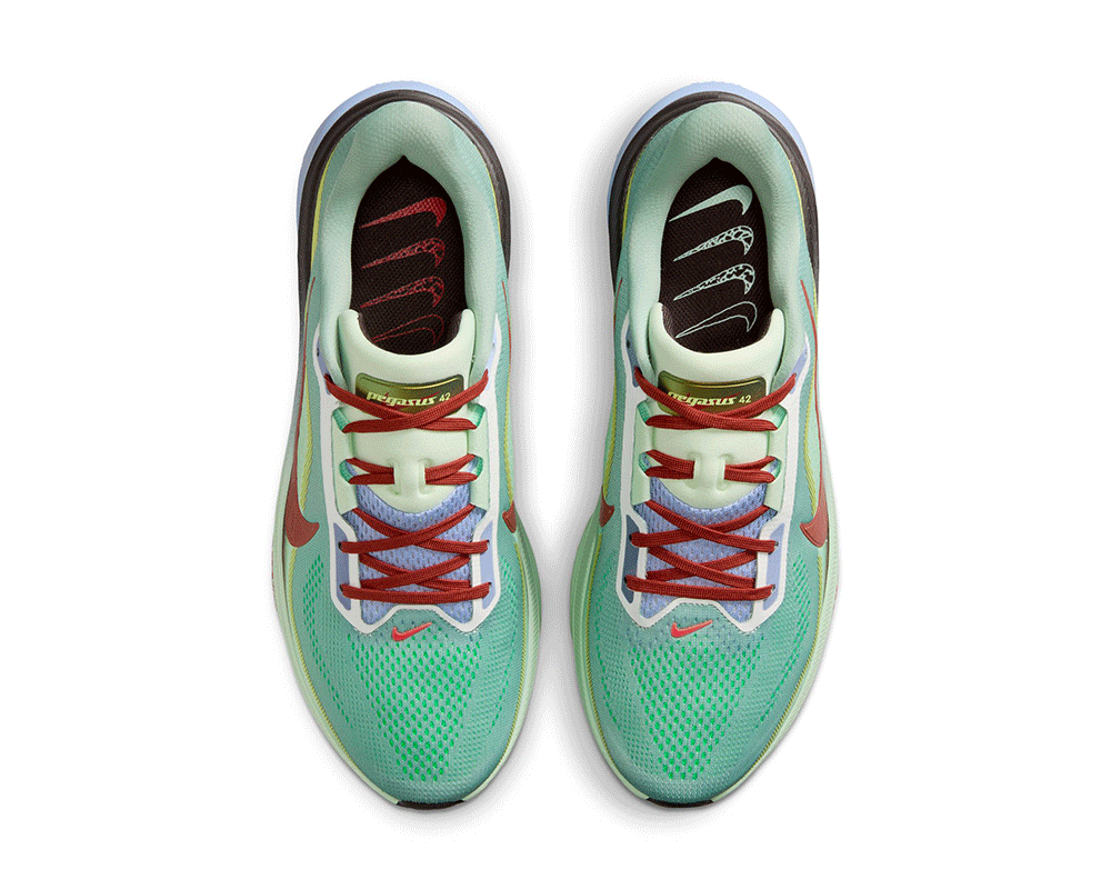 Tenis de pavimento Nike Pegasus 42 Hombre