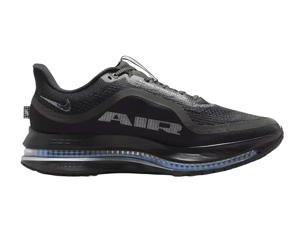 Tenis de pavimento Nike Pegasus Premium Hombre