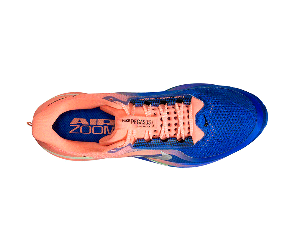Tenis de pavimento nike Pegasus Premium Hombre