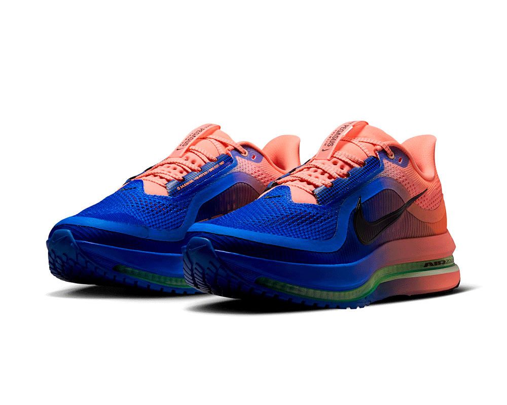 Tenis de pavimento nike Pegasus Premium Hombre
