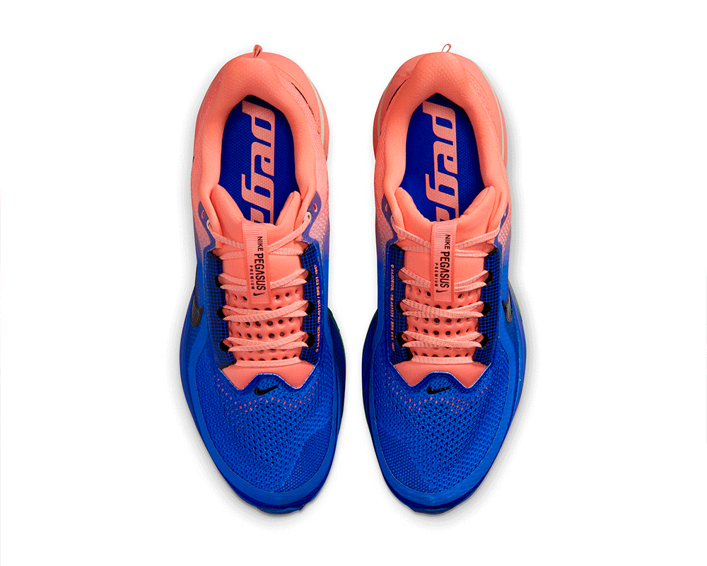 Tenis de pavimento nike Pegasus Premium Hombre