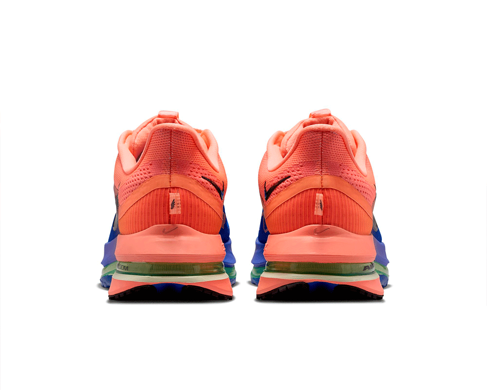 Tenis de pavimento nike Pegasus Premium Hombre