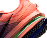 Tenis de pavimento nike Pegasus Premium Hombre