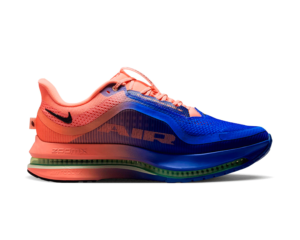Tenis de pavimento nike Pegasus Premium Hombre