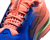 Tenis de pavimento nike Pegasus Premium Hombre