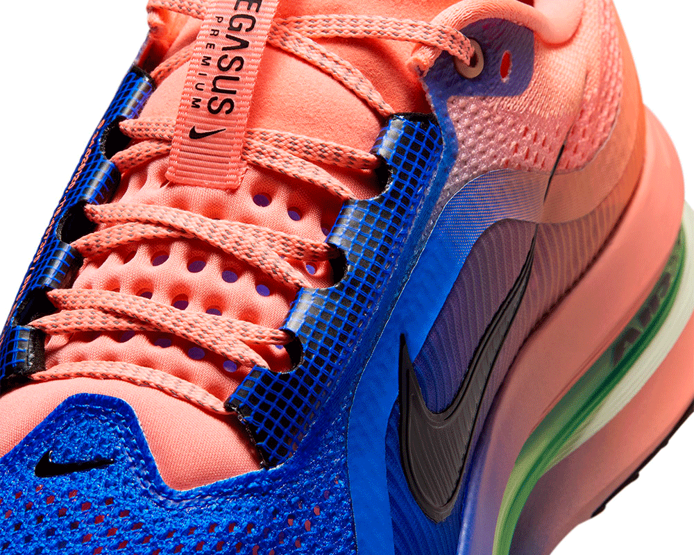 Tenis de pavimento nike Pegasus Premium Hombre