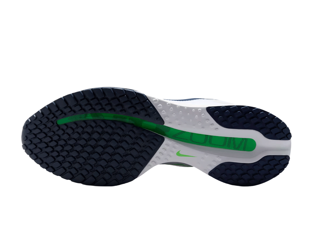 Tenis de pavimento Nike Pegasus Premium Hombre