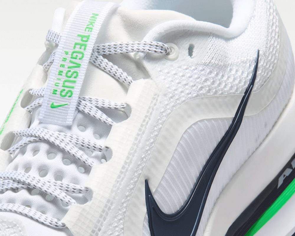Tenis de pavimento Nike Pegasus Premium Hombre